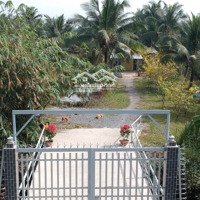 Chính Chủ Cần Bán Đất Cln Có Sổ Đỏ 8000M2 Xã Tân Nhựt Có Sẵn Vườn Dừa