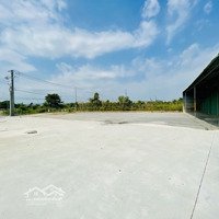 Cho Thuê 2 Kho. 500M2 Và 1000M2 Đường Lê Trọng Tân - Giá Liên Hệ