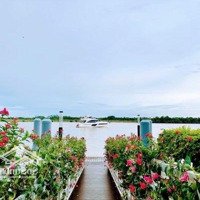 10 Lý Do Nên Sỡ Hữu Eco Village Sài Gòn River - Đảo Hoa