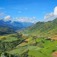 Bán Nhanh Thu Hồi Vốn 50.000M Nhà Vườn, Trang Trại Đang Canh Tác Dòng Tiền 4 Tỷ/Năm, Chỉ 1 Triệu/M