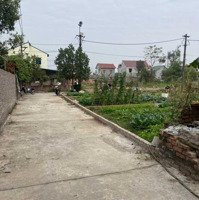 Bán Đất Giá Rẻ Tại Ninh Môn Hiền Ninh Sóc Sơn - Liên Hệ: 0399786838