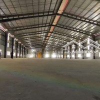 Cho Thuê Kho Xưởng (1000M²) Hồ Ngọc Lãm, Q 8