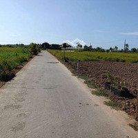 Chỉ 210 Triệu Có Ngay Nền Đất Thổ Cư Tại Huyện Tân Phú Đông Tiền Giang