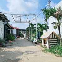 Lô Góc 2 Mặt Tiền (5X20M) Liền Kề Kdc Hoàng Hoa Long Hậu.