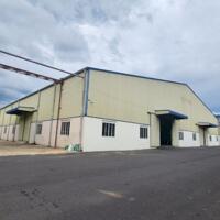 Cho thuê kho xưởng 10000m2 trong KCN Bàu Xéo, Huyện Trảng Bom, Tỉnh Đồng Nai