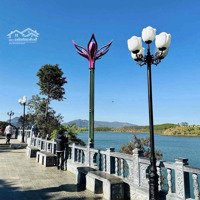 Đất View Biển Hồ Pleiku _ Cạnh Hàng Thông Trăm Tuổi_7.484M2