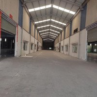 Cho Thuê Nhà Xưởng Vip 8000M2 Mặt Tiền Đường Thế Lữ Gần Bv Nhi Đồng - Bình Chánh