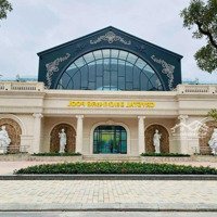 Duy Nhất 1 Căn Đơn Lập Góc Đảo Dừa Vị Trí Đẹp Nhất Ôm Trọn Công Viên Vinhomes Ocean Park 2