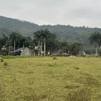 Chuyển Nhượng 5400M Đất Giá Giá Rẻ Tại Lương Sơn