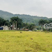 Chuyển Nhượng 5400M Đất Giá Giá Rẻ Tại Lương Sơn