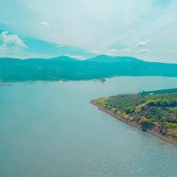 Cần Bán Quỹ Đất 23Ha Huyện Lâm Hà - Giáp Sông Đồng Nai Rất Đẹp