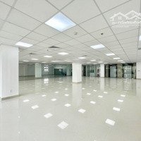 Trương Công Giai, Sàn 220M2 Thông Sàn 2 Mặt Thoáng Trước Sau, Thoải Mái Đỗ Ô Tô