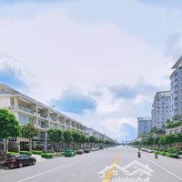 Cho Thuê 2 Căn Thông, 1000M2, Hầm Riêng, Hoàn Thiện, 219 Triệu/Tháng 0931490506