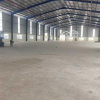 Cho Thuê Kho Xưởng Kcn Đức Hòa, Dt: 4.300M2, Giá: 220 Triệu/Tháng, Pccc Tự Động, Long An