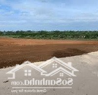 Bán Đất Riêng 196M2 Chính Chủ Tại Nguyễn Huệ, Tân Bình,Đx