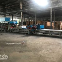 Bán Xưởng Gấp: 17,333M2 Sang Lại Toàn Bộ Máy Móc, Công Nhân