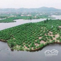 Bán Trang Trại Resort Hồ Bầu Lầy Lục Ngạn Bắc Giang