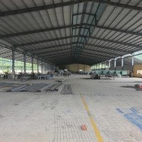 Cho Thuê Nhà Xưởng 7000M2 Kcn Nhơn Hòa