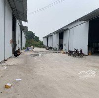 Cho Thuê Kho 300M2, 800M2, Xe Công Đỗ Cửa, Vat, Điện 3Fa, Đường Cổ Nhuế, Bắc Từ Liêm, Hà Nội 70K/M2