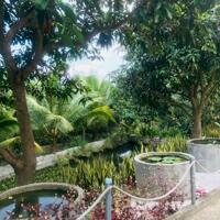 Bán nhà vườn cực đẹp Phước Đồng - Ngang 50m - Đường bê tông 6m - Giá tốt