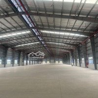 Cho Thuê 2000M2 &6000M2 Kho Xưởng Tiêu Chuẩn Tại Long Biên Khung Zamil Pccc Nghiệm Thu, 135.000/M2