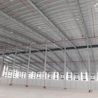 Cho thuê 10000m2 xưởng mới xây dựng tại Hải Hậu Xã Hải Trun