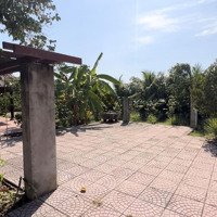 Bán Biệt Thự - Khu Nghỉ Dưỡng Mặt Tiền View Sông Sài Gòn - Bình Mỹ - Củ Chi