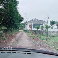 Cần Tiền Bán Gấp Ô Đất Siêu Đẹp Tại Minh Quang, Tam Đảo, Vĩnh Phúc