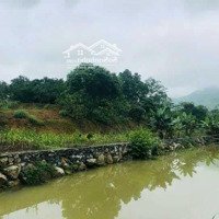 Chính Chủ Bán Đất Cư Yên - Lương Sơn - Đất Đẹp Vuông Vắn- Giá Ưu Đãi Lh Ngay