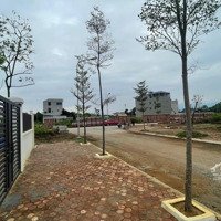 Bán Đất 100 M2 Tái Định Cư Nam Tỉnh Lộ 420, View Hồ, Công Viên