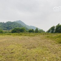 Siêu Phẩm Đất Trán Voi - Phú Mãn