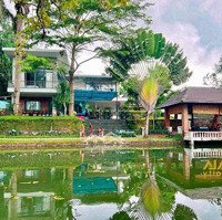 Cho Thuê Nhà Vườn Đẹp Hơn 1.000M2 - Có Hồ Bơi Đường Đào Duy Anh