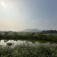 Cần Bán Nhanh 1518M2 Đất Ở 150M2 Trục Chính Thôn Chóng, Xã Yên Bài, Ba Vì, Hà Nội