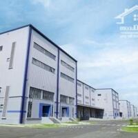 Cho thuê kho xưởng 2000m2, 5000m2, 10.000m2 trong KCN Nhơn Trạch, Huyện Nhơn Trạch, Tỉnh Đồng Nai