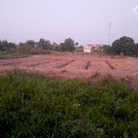 Cần bán 5 công đất chính chủ ngay khu phố 4 thị trấn Tân Thạnh
