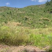 Bán Nhanh Hơn 5 Hec Đất Rừng Sản Xuất Diên Sơn, Diên Khánh