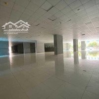 Chính Chủ Cần Cho Thuê Tòa Nhà Gần 5000M2 Sử Dụng Đường Tố Hữu, Đa Dạng Mô Hình Kinh Doanh.