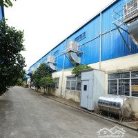 Cho Thuê Xưởng 12000M2 Pccc Thi Xã Gò Công Đông . Tiền Giang