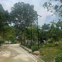 Bán Homestay Nghỉ Dưỡng Tại Xã Tiến Xuân, Thạch Thất 7600M2 View Cao