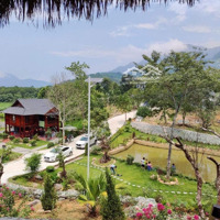 Bán Homestay Nghỉ Dưỡng Tại Xã Tiến Xuân, Thạch Thất 7600M2 View Cao Đẹp, Sẵn Khuôn Viên