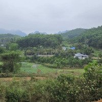 Bán 4686M2 Đất View Vị Trí Đẹp Giá Siêu Rẻ Tại Kim Bôi, Hòa Bình