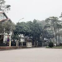 CHỈ 1 CĂN DUY NHẤT️ Bán Biệt thự Bán đảo Linh Đàm, Hoàng Mai diện tích 255m2, 4 tầng. Lh 0912929280