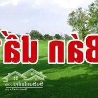 Bán Đất Dịch Vụ Tây Nam Linh Đàm.diện Tích60M2, Mt, Mh 5M, Ô Tô Tránh, Giá Bán 8,5 Tỷ