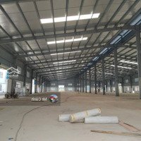 Cho Thuê Kho Xưởng Diện Tích: 1500M2, 3000M2, 5000M2 Tại Ccn Quất Động, Thường Tín