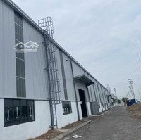 Cho Thuê Khuôn Viên 10.000M2 Kho, Xưởng Tại Khu Cn Minh Quang, Mỹ Hào, Tỉnh Hưng Yên.