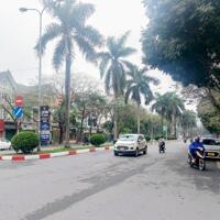 Bán Lô Góc 2 mặt phố Nguyễn Khuyến – Văn Quán 4 tầng 145m2, MT 25m vỉa hè rộng, cho thuê, kinh doanh đỉnh