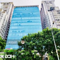 Bqlcho Thuê Văn Phòngchuyên Nghiệp Diện Tích 70M2~800M2 Tại Sông Hồng Park View 165 Thái Hà, 210K/M2/Th