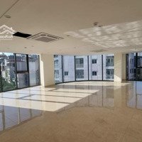 Bán Nhà 8 Tầng, Lô Góc Tại Phố Thiên Hiền, Nam Từ Liêm, 80M2 Giá Bán 41 Tỷ Liên Hệ 0964177218