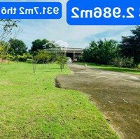 Cần Tiền Bán Nhanh Lô Đất Tâm Huyết Đã Hoàn Công Đầy Đủ 2896M2 (39,75 X 77), Có Sẵn 931M2 Thổ Cư