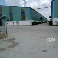 Cho Thuê 3 Xưởng 5.000M2, 10.000M2, 15.000M2, Pccc Tự Động, Gía: 50K/M2, Long An